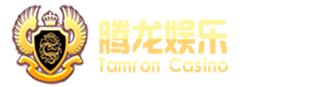 腾龙公司